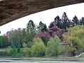 adda (109)